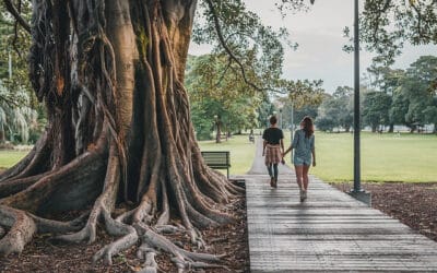 L’importance du mobilier urbain durable et écologique dans l’aménagement des villes