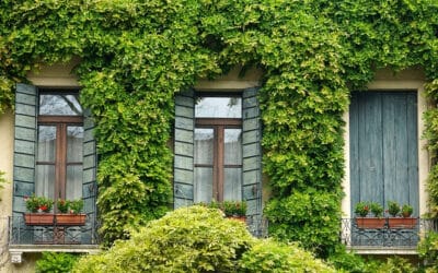 Les différentes tâches à inclure dans un contrat d’entretien pour les copropriétés