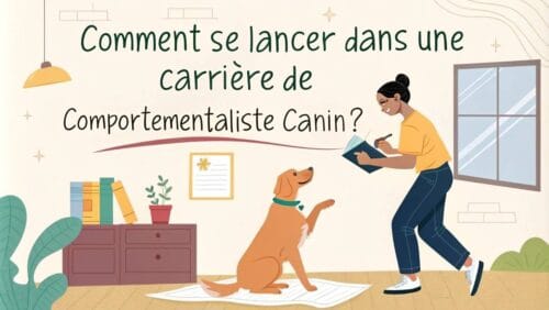 Comment se lancer dans une carrière de comportementaliste canin